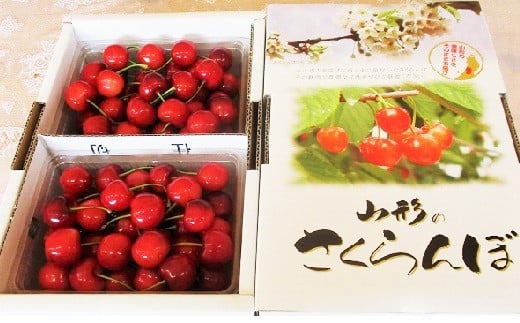 さくらんぼ（紅秀峰）８００ｇ　0025-2503