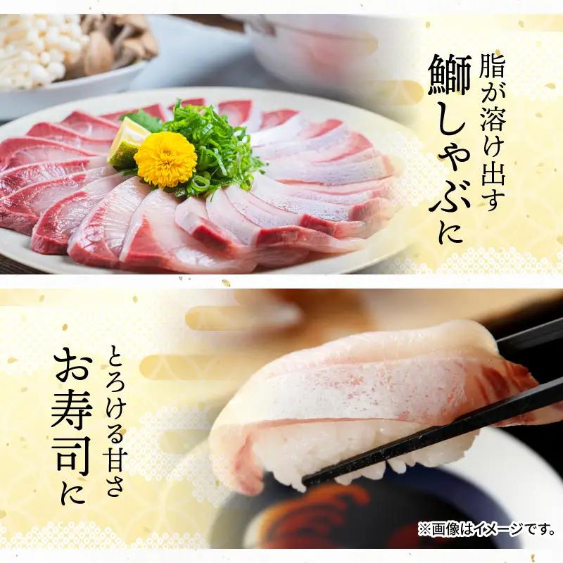 【定期便】ぶり 2kg × 3回 養殖 冷蔵ぶり