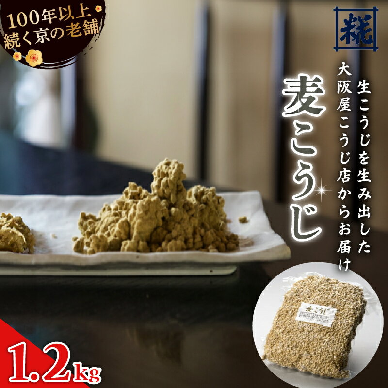 【ふるさと納税】 国産 麦こうじ 1升（1.2kg） 麦麹 生こうじ 麦生こうじ 米麹 無添加 発酵食品 甘酒 塩麹 味噌作り 自家製味噌 京都 舞鶴 老舗 大阪屋こうじ店 冷蔵