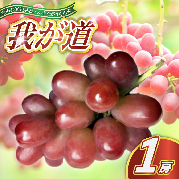 【ふるさと納税】【2025年9月より順次発送予定】我が道　1房(県内共通返礼品:かすみがうら市産)【配送不可地域：離島・沖縄県】 (BR102)