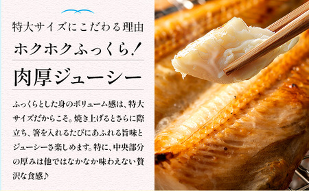 特大シマホッケ開き5枚(約450g)　合計約2.2kg【配送不可地域：離島】【1113096】