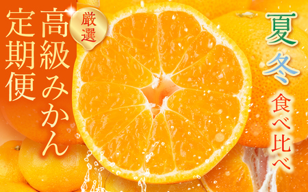 高級みかん 食べ比べ定期便 2回 冬夏 みかん