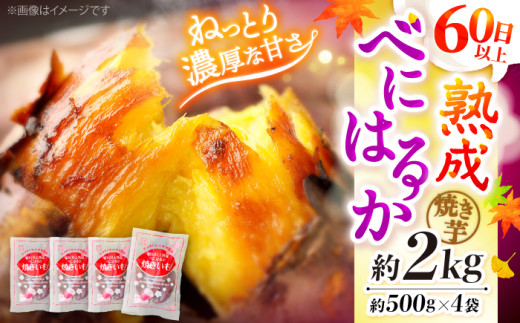 焼き芋  べにはるか やきいも 冷凍 2kg＜大地のいのち＞ [CDA012] 西海市 さつまいも 焼き芋 やきいも 贈答 ギフト 焼き芋