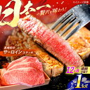 【ふるさと納税】【全12回定期便】 長崎和牛 特選 A5ランク サーロインステーキ 計1kg（250g×4枚） / ステーキ すてーき ステーキ肉 和牛 牛肉 ぎゅうにく 国産牛 牛 肉 サーロイン さーろいん A5 焼肉 / 諫早市 / 焼き肉おがわ [AHCD038]