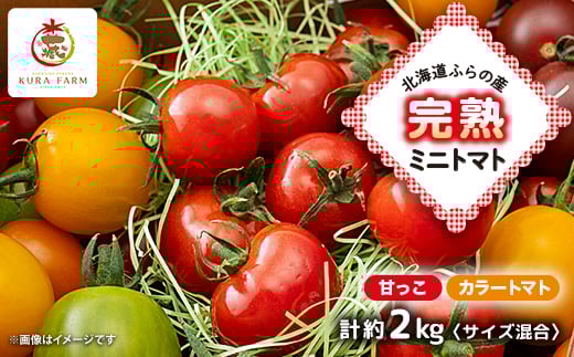 
                  ＜先行受付　2026年発送＞北海道ふらの産　完熟ミニトマト〈甘っこ・カラートマト〉約2kgサイズ混合【1505752】
                