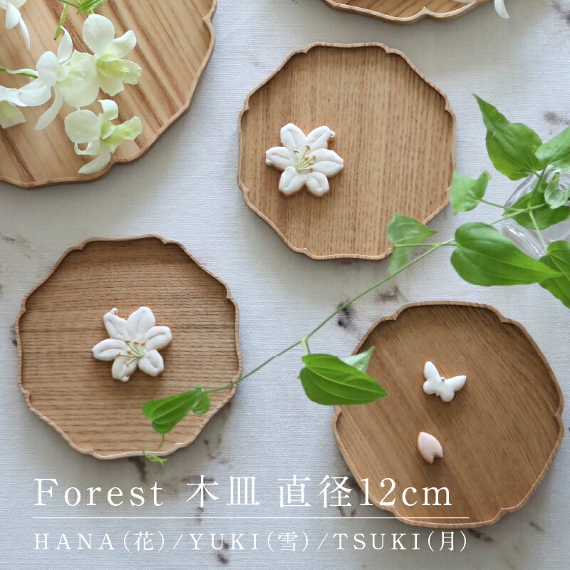 【ふるさと納税】Forest 木皿 直径12cm[C-13101] / 越前漆器 和モダン 木製