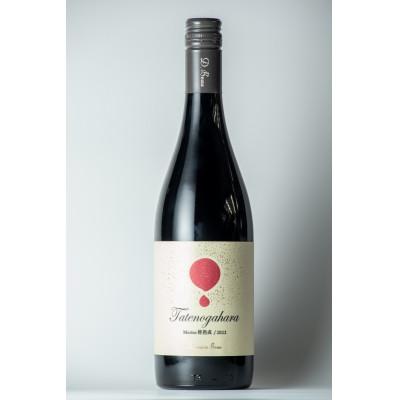 ふるさと納税 富山県 【ワインコンクール受賞】Domaine Beau 「南砺市産のぶどう」立野原ワイン5本セット |  | 01