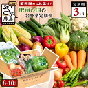 【ふるさと納税】【野菜ソムリエ選定】【定期便】肥前の国 野菜 定期便 3回 3ヶ月 定番 野菜 8品目 季節 野菜 2品目 計8～10品目 | ふるさと納税 野菜 定期便 やさい 野菜 セット 詰め合わせ 国産 佐賀県 鹿島市 ふるさと 人気 送料無料 D-77