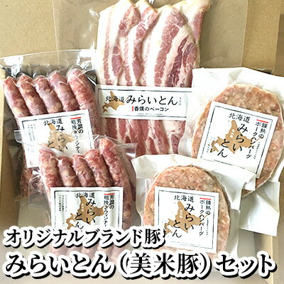 【ふるさと納税】[先行受付] みらいとん（美米豚）セット：ビィクトリーポークのオリジナルブランド豚 肉の加工品 お肉 ハンバーグ ベーコン ウインナー[ファーマーズガーデン]　お届け：2025年11月～2026年1月末まで