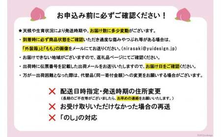 【先行受付】訳あり もも 白鳳 or 白桃 4号 約3.3kg(9～12玉)【6月後半から順次発送】 [斎庵 山梨県 韮崎市 20742517] 桃 モモ フルーツ 期間限定 季節限定 冷蔵 農福連携