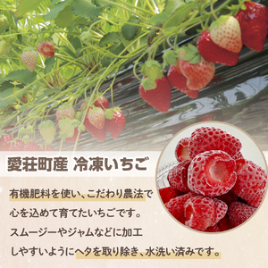 採れたて瞬間冷凍！ 滋賀県愛荘町産　冷凍いちご 1kg（500g×2）品種ミックス　 冷凍 いちご 紅ほっぺ よつぼし みおしずく あまえくぼ