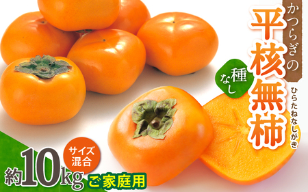 【ご家庭用】和歌山県産 平核無柿約10kg【2025年10月上旬から11月上旬頃順次発送】【MG3w】【S96004-mtgn048】