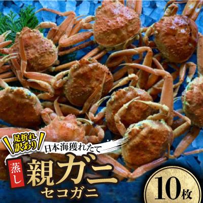 ふるさと納税 智頭町 【先行予約】【蒸し】訳あり足折れ日本海産親ガニ(セコガニ)　10枚　※11月中旬から順次発送