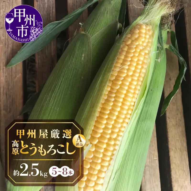 甲州屋厳選 高原とうもろこし A級品 約2.5kg（5～8本）【2026年発送】B-141
