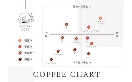 【粉】グアテマラ ゴールデンパレンシア リオ ウォッシュド ( 中深煎り ) 400g （200g×2） コーヒー 珈琲