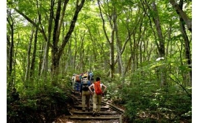 
TO-02　大山トリビア登山（引換券）
