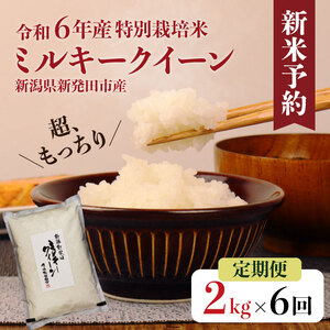 【定期便】 令和6年産 ミルキークイーン 2kg×6か月　【 新潟県 新潟産 新発田産 米 ミルキークイーン 佐々木耕起組合 2kg 6ヵ月 12kg 定期便 D42_001 】 