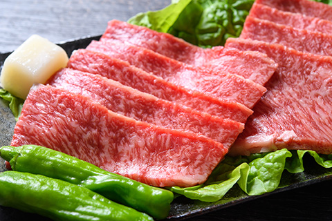 【A4～A5】 博多和牛 赤身モモ焼肉用 500g 吉富町/株式会社MEAT PLUS [BGAB036]