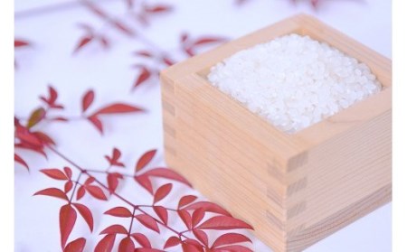 【阿蘇小国産】小国郷のお米　あきげしき5kg（精米）