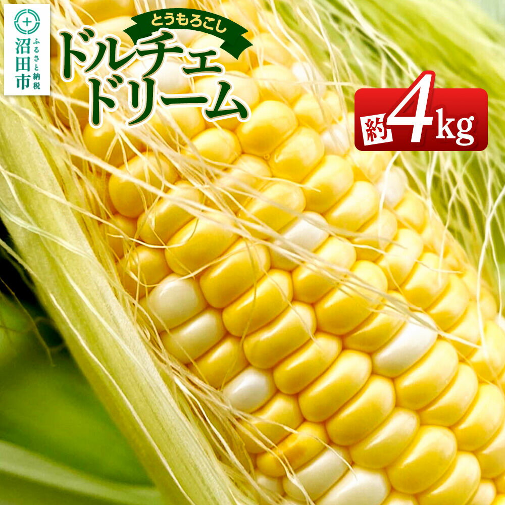 【ふるさと納税】《7月下旬〜9月上旬発送》とうもろこし ドルチェドリーム 約4kg（8〜12本） 山口いちご園