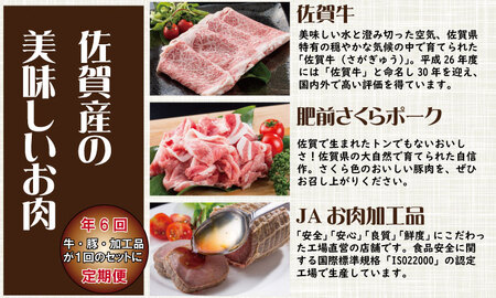 【定期便】 (年6回/隔月お届け) 佐賀牛with肥前さくらポーク お肉の定期便 奇数月 Q250-001