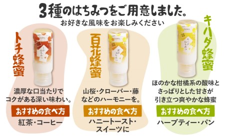 飛騨産 生蜂蜜 詰め合わせ セット 200g×3種類 ギフト 国産無添加 キハダ トチ 百花 はちみつ ハニー 非加熱[Q1205]