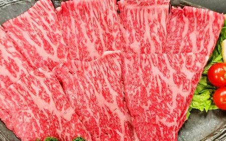 A4～A5限定 九州産 黒毛和牛 赤身 スライス（もも・うで）計1.6kg 400g×4パック 数量限定【2026年5月発送】