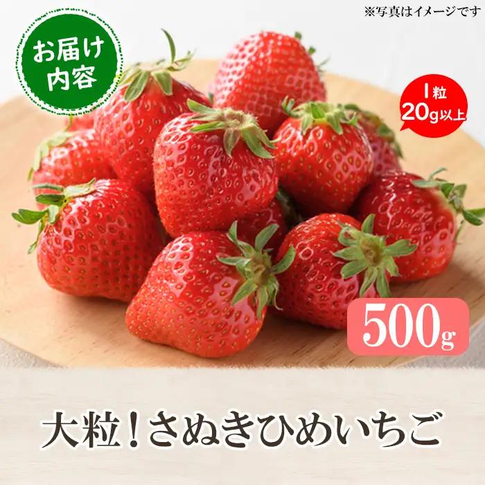 ＜先行予約！2027年3月下旬以降順次発送予定＞大粒！香川県産 さぬきひめいちご(約500g・1粒20g以上) 国産 果物 苺 イチゴ フルーツ 産地直送 冷蔵便【man104-A】【Aglio ne