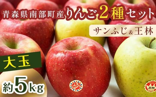 特選 (大玉) 青森産 完熟 りんご 約5kg サンふじ 王林 2種セット 【誠果園】 青森りんご リンゴ 林檎 アップル あおもり 青森 青森県 南部町 三戸 南部 澁川賞受賞 果物 くだもの フルーツ F21U-220