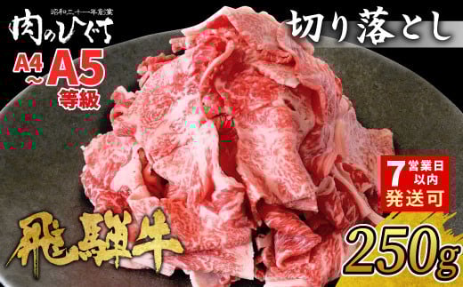 
            発送時期が選べる！ 飛騨牛 切り落とし 250g A5 A4 国産 牛 冷凍 お試し 和牛 牛肉 切落し 切り落し 訳あり 牛丼 すき焼き しゃぶしゃぶ 東白川村 岐阜 飛騨 贅沢 霜降り ロース バラ もも ウデ 肉のひぐち 5000円 五千円
          