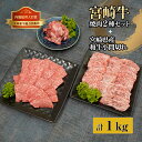 【ふるさと納税】宮崎牛と宮崎県産和牛小間切れセット 計1kg (宮崎牛モモ焼肉400g×1、宮崎牛バラ焼肉400g×1、宮崎県産和牛小間切れ100g×2)【KU319】