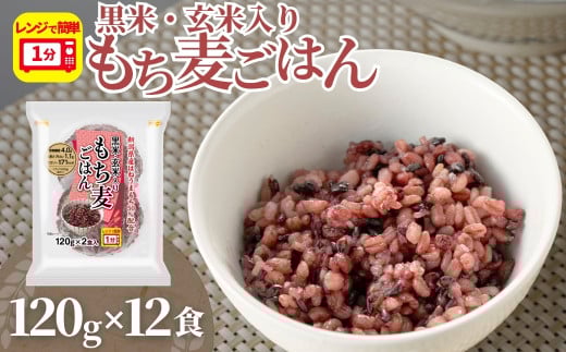 【正解は越後製菓】新潟県産もち麦使用 「黒米・玄米入り もち麦ごはん」120g×12食セット(レトルト・非常食・キャンプ・防災) 便利なパックごはん 越後製菓 【0017-0006-01】