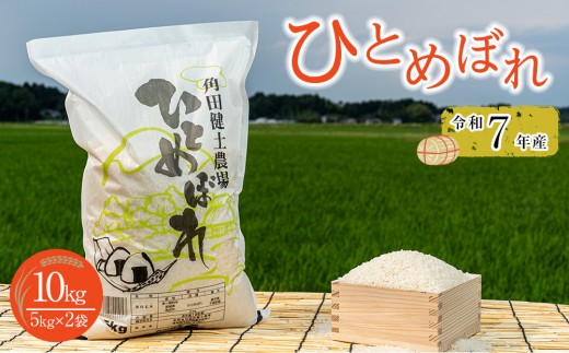 令和7年産 米 ひとめぼれ 10kg ( 5kg × 2袋 ) お米 白米 精米 こめ ご飯 ごはん おにぎり ヒトメボレ 国産 お取り寄せ 人気 おすすめ 食品 宮城