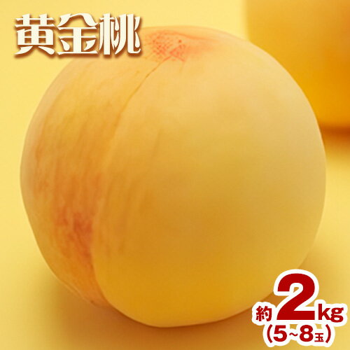 【ふるさと納税】【先行予約】もも 桃 黄金桃 2kg 5～8玉 小寺農園《2025年8月上旬-9月上旬頃出荷》 岡山県 笠岡市 岡山県産 黄金桃 モモ 果物 フルーツ 先行予約