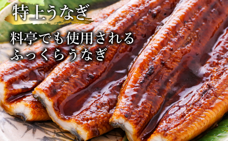 うなぎ 蒲焼 特大 4尾 約1kg うなぎ