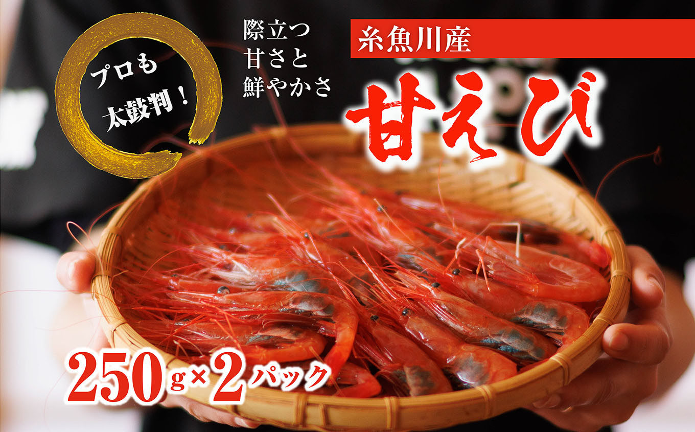 
【プロも太鼓判！】糸魚川産『甘エビ』500g（250g×2ﾊﾟｯｸ）約35尾 際立つ甘さと鮮やかさ 鮮度抜群 日本海直送 新潟 あまえび 甘えび 南蛮エビ お刺身 瞬間 冷凍 新鮮
