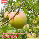 【ふるさと納税】ぐんま名月 約3kg（約8～12玉）《田田農園》■2024年発送■※10月下旬頃～11月中旬頃まで順次発送予定 果物 フルーツ 林檎 りんご リンゴ