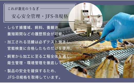 大満足1kg　愛知県三河一色産　うなぎ蒲焼き（5尾～7尾）・U040-30