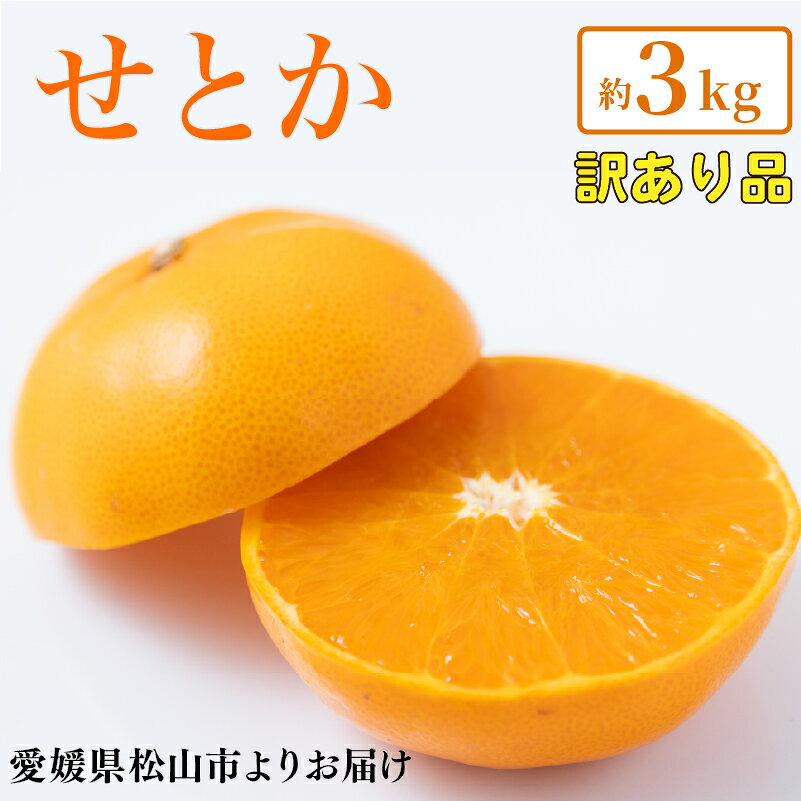 【ふるさと納税】 【2027年2月上旬頃から順次発送】 せとか 訳あり 約3kg みかん ミカン 柑橘 フルーツ くだもの 果物 青果 果実 人気 甘い ジューシー 産直 産地直送 田中農園