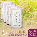 【ふるさと納税】【新米】【令和6年産米】北海道壮瞥産 ゆめぴりか 5kg×4袋 米 北海道米 ゆめぴりか 【 ふるさと納税 人気 おすすめ ランキング 新米 米 お米 コメ こめ ゆめぴりか 精米 白米 ごはん ご飯 壮瞥産 北海道 壮瞥町 送料無料 】 SBTE044