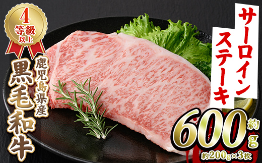鹿児島県産 黒毛和牛 4等級以上 サーロイン ステーキ (約600g・約200g×3枚) 国産 牛肉 サーロイン ステーキ 4等級 バーベキュー BBQ おかず 冷凍 ステーキ肉 お肉 大判 個包装 【スターゼン】akn042-69