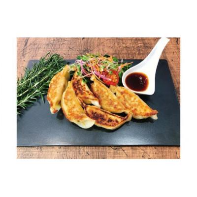 ふるさと納税 秦野市 ボリューム満点こだわり大餃子(2箱)