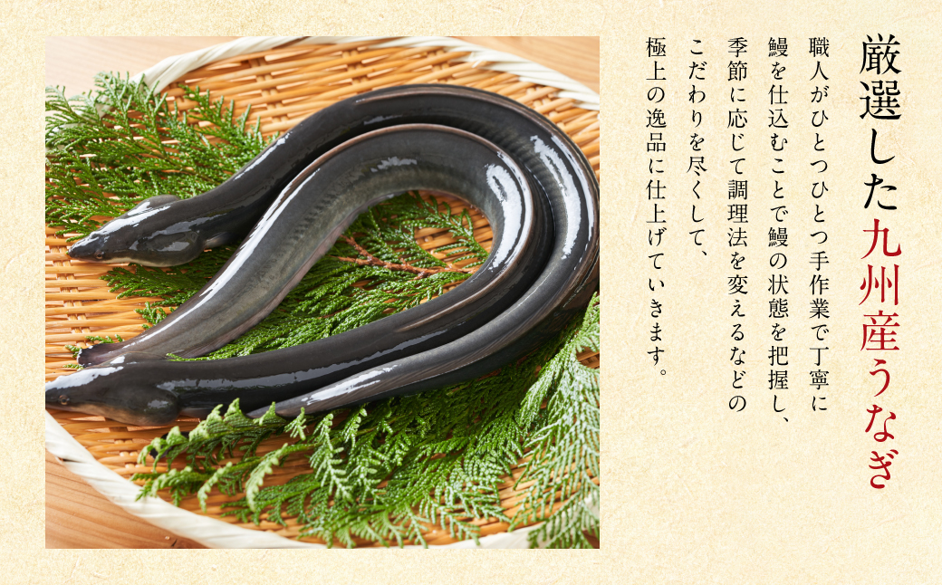 蒲焼き 2尾 白焼き 2尾 刻み蒲焼き 4PCセット うなぎ ウナギ お祝い 国産 蒲焼き かばやき 冷凍 うな重