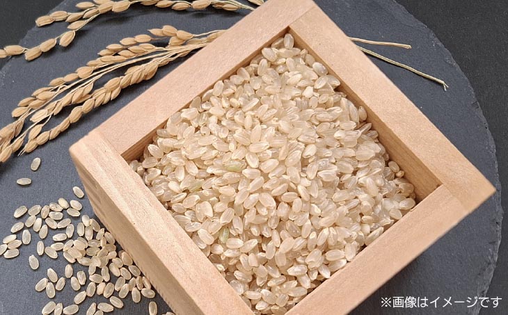 令和8年産米　淡路島産コシヒカリ　玄米20㎏