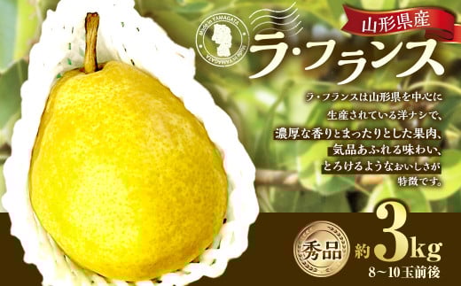 山形県産 ラ・フランス 約3kg 秀品 洋梨 ラフランス 西洋梨 洋ナシ 洋なし ようなし 果物 くだもの フルーツ 山形 【2025年12月上旬～12月下旬順次発送予定】