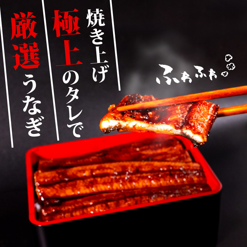 高知県産 養殖 うなぎ 蒲焼 100g～120g × 2尾 セット タレ付き 贈答 養殖 肉厚 鰻 土用丑の日 敬老の日 高知県 須崎市