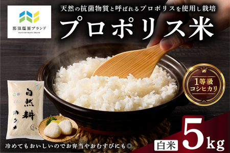 【那須塩原ブランド認定品】プロポリス米（1等級コシヒカリ 白米5kg)【令和7年度産米】ns063-002 