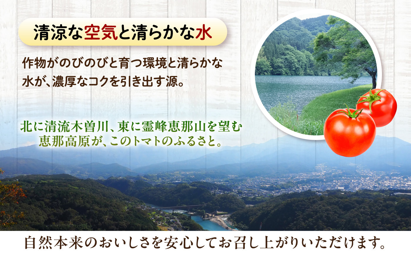【訳あり】 トマト 約2キロ / とまと 野菜 果物 訳アリ 恵那市 / 馥郁農園 [AUCK013]
