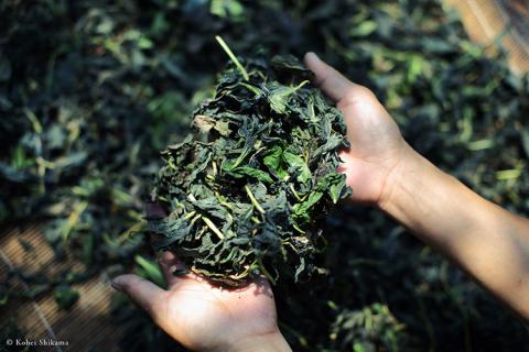 アイアカネ工房の「藍を食べる」セット