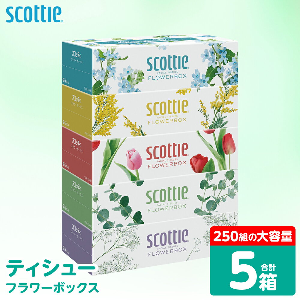 【ふるさと納税】【スコッティ】 ティシュー フラワーボックス 250組 5箱 ティッシュ 日用品 生活必需品 防災備蓄 ストック 備蓄 新生活 防災 消耗品 生活用品 日用消耗品 箱ティッシュ 送料無料